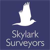 Skylark Surveyors